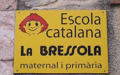 El Consell Comarcal aprova una moció de suport a La Bressola