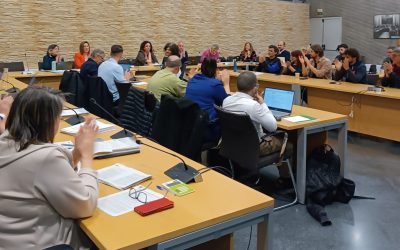 Ple ordinari del Consell Comarcal del Gironès del 18 de març de 2026